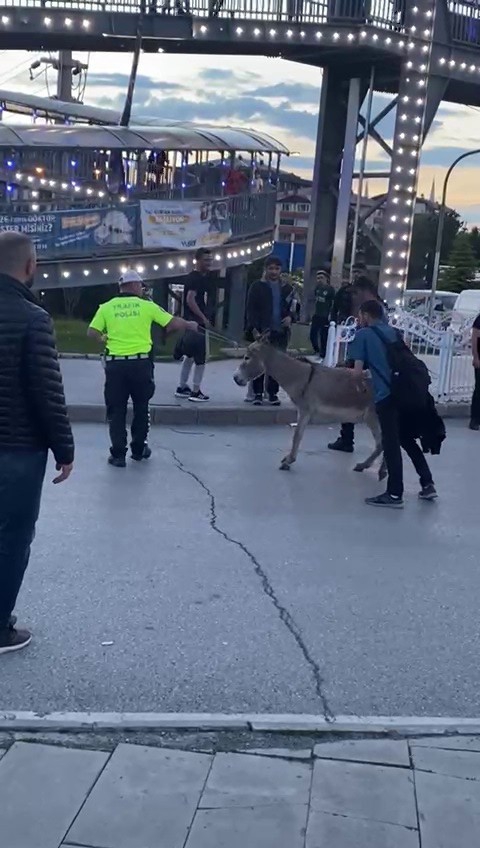 Erzurum’da güldüren olay